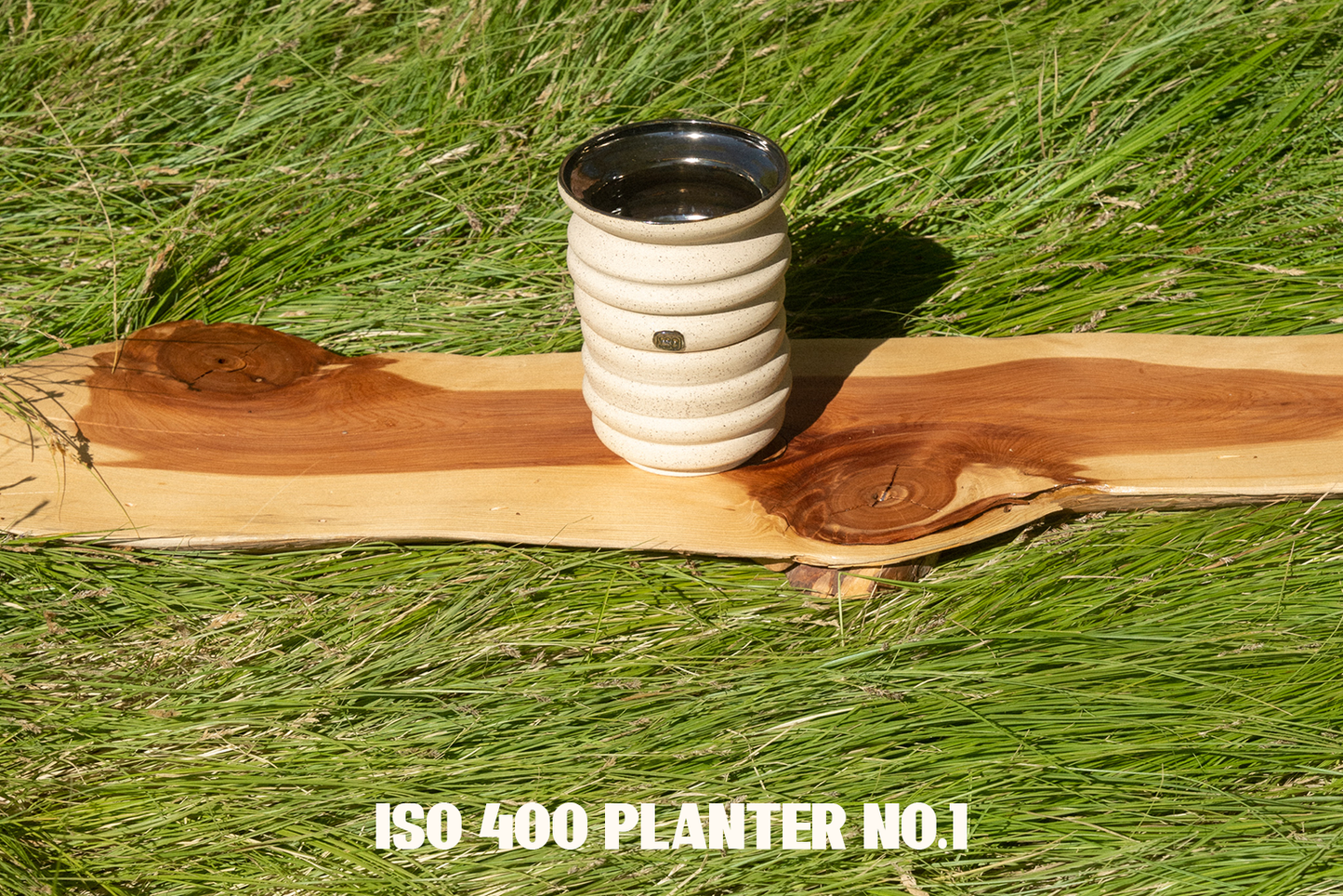 Planters & Vases