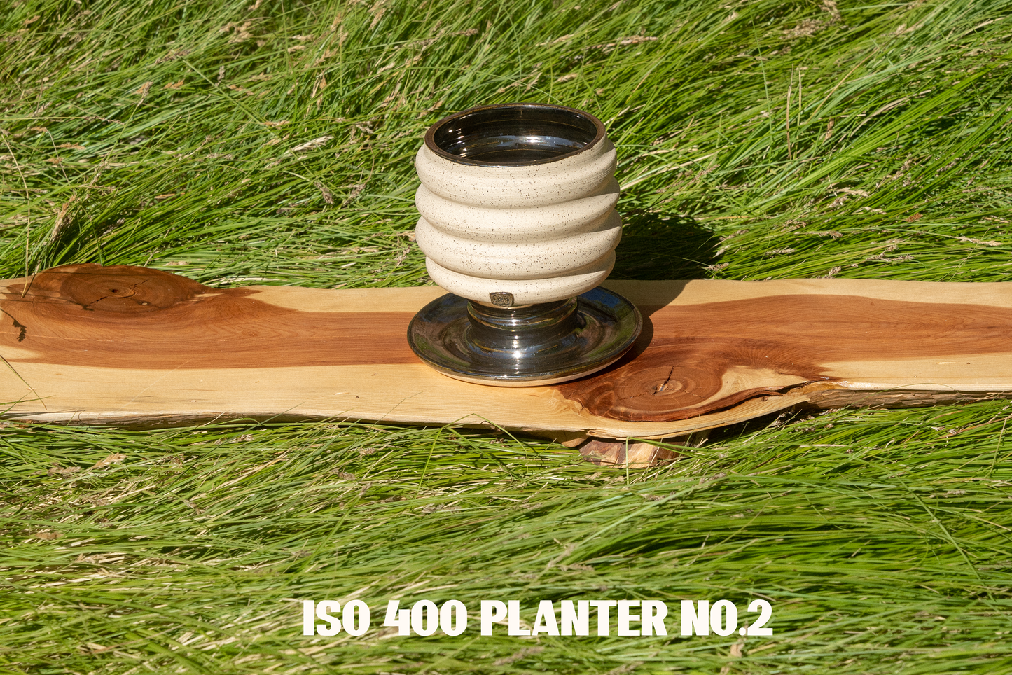 Planters & Vases