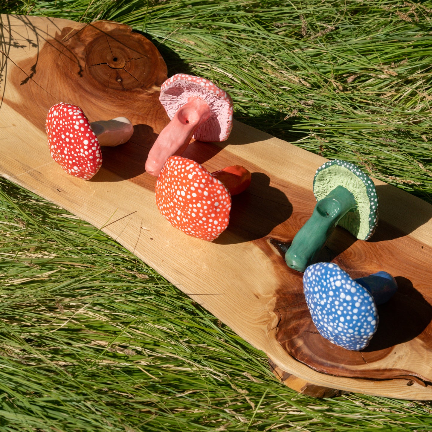 Wild-Foraged Mushroom Pipes