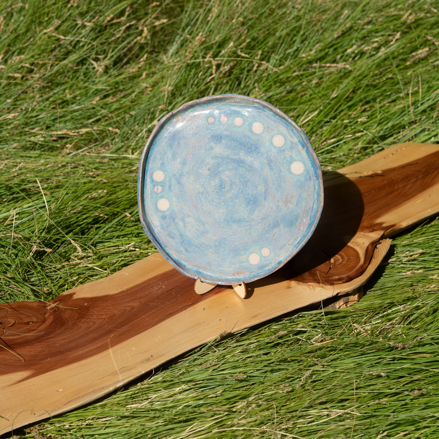SOIRÉ Dinner Plates